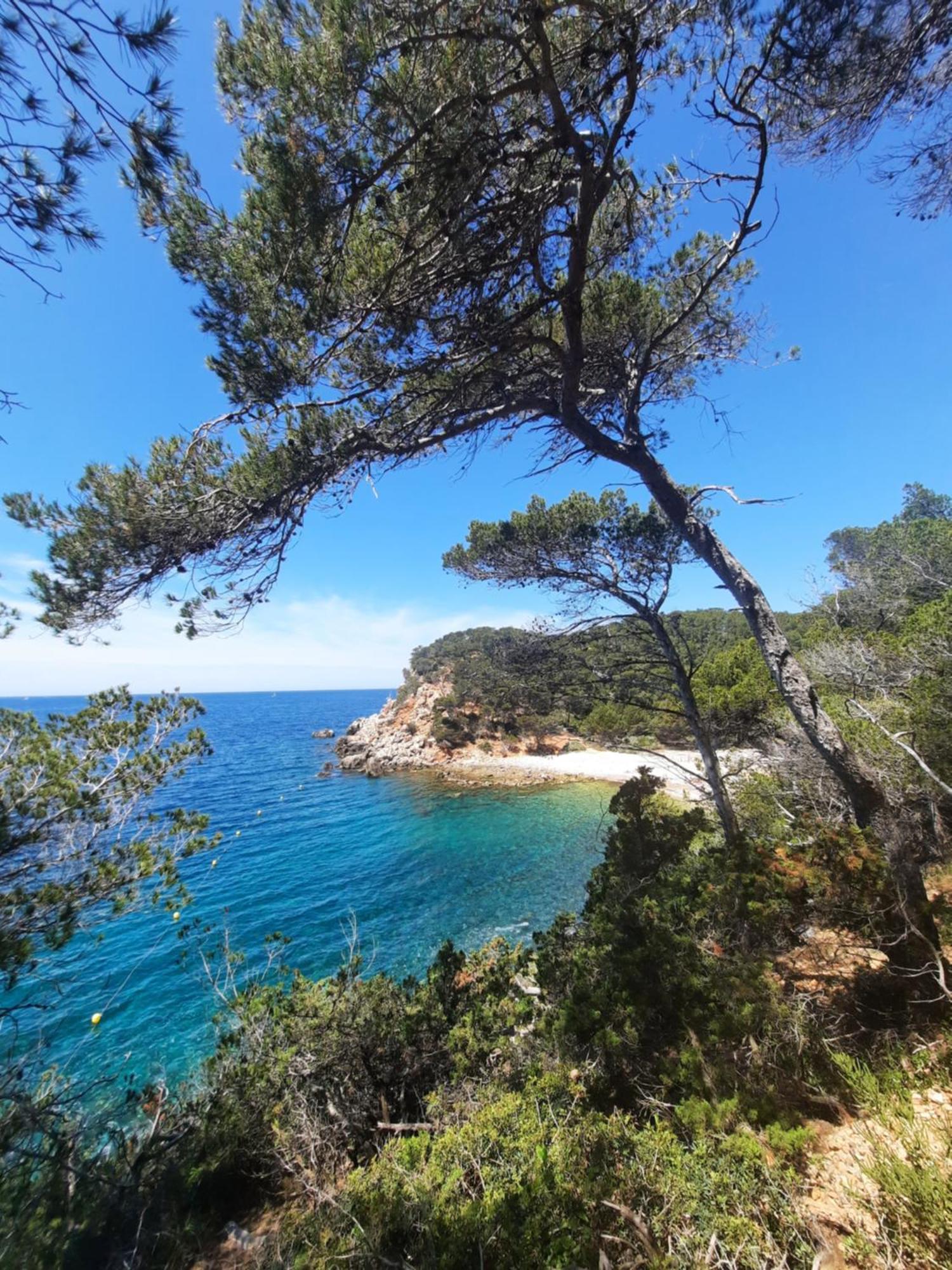 Maison Independante Avec Piscine Privative Pres De La Mer 라 가르드 외부 사진